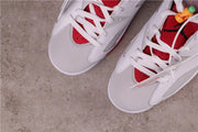 Jordan Air Jordan 6 Hare White Red Sneakers CT8529-062