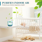 🔥 Limited-Time Pre-Sale⏰Indoor Air Purification Dust Removal Magic Box🏠