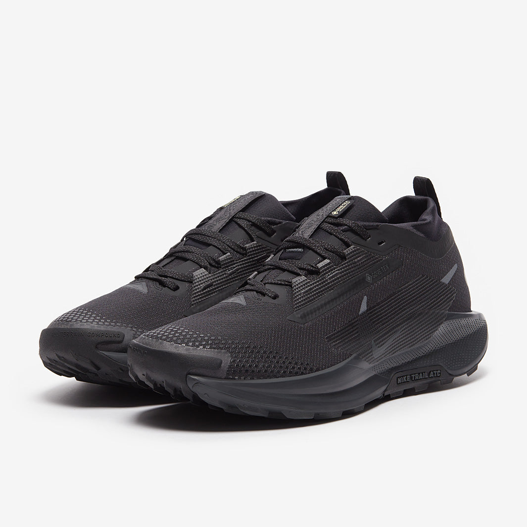 Nike Pegasus Trail 5 GORE-TEX