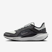 Nike Pegasus 41 GORE-TEX