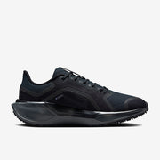 Nike Womens Pegasus 41 GORE-TEX