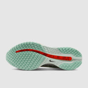 Nike Pegasus Premium