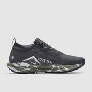 Nike Pegasus Trail 5 GORE-TEX