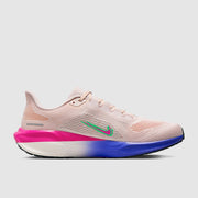 Nike Eliud Kipchoge Pegasus 41