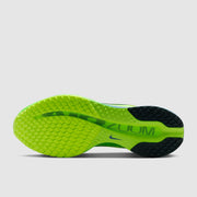 Nike Pegasus Premium