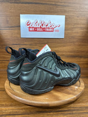 Nike Air Foamposite Pro Sequoia