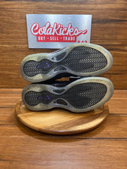 Nike Air Foamposite One Eggplant (2024)