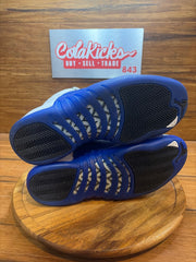 Jordan 12 Retro Blueberry