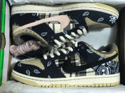 Nike SB Dunk Low PRM QS Black Beige CT5053-001