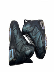 Jordan 6 Retro All-Star Chameleon (2017)