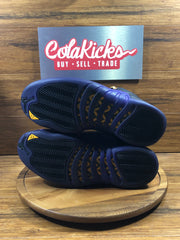 Jordan 12 Retro Field Purple