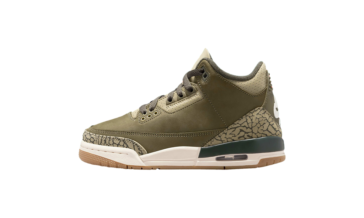 Jordan 3 Retro Family Affair (GS)