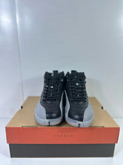 Jordan Air Jordan 12 Retro Black Wolf Grey CT8013-019