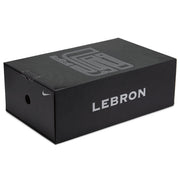 Nike Zoom LeBron 2 LX