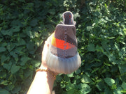 Yeezy 350 V2 Gray and Orange Knit Sneakers