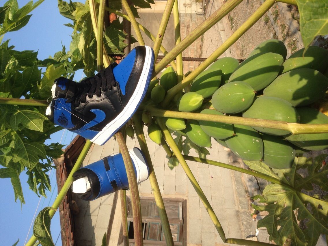 Jordan 1 High Blue and Black Basketball Sneakers