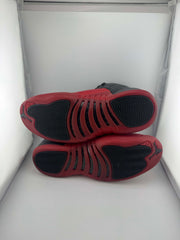 Jordan 12 Retro Flu Game (2025)